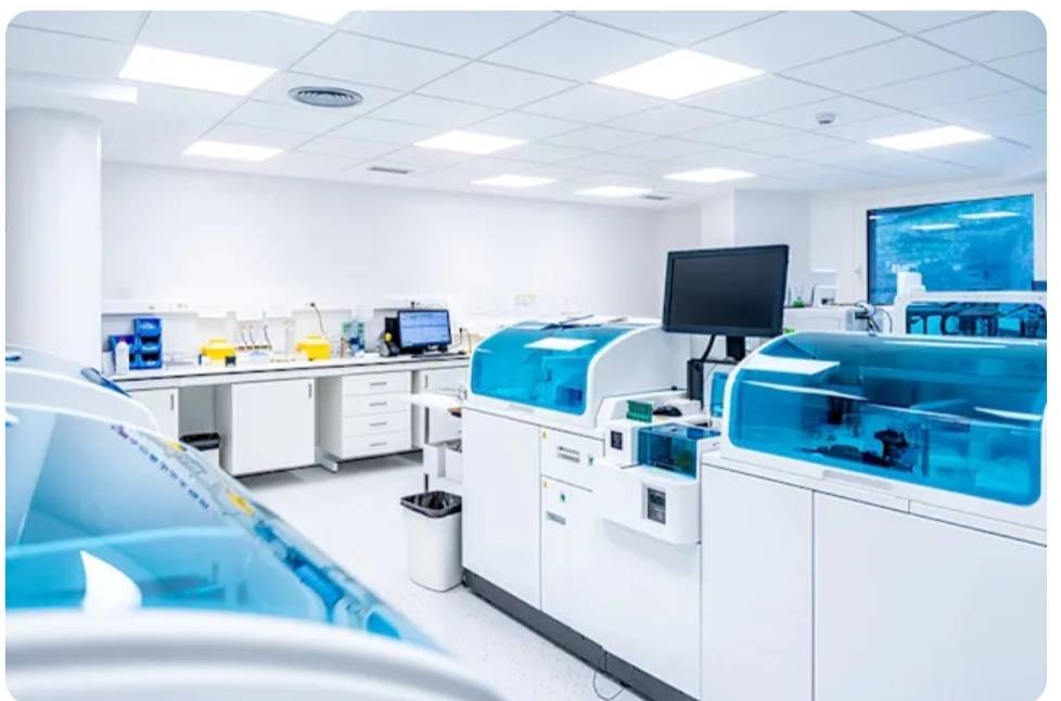 462751 - 報新聞 Mega News