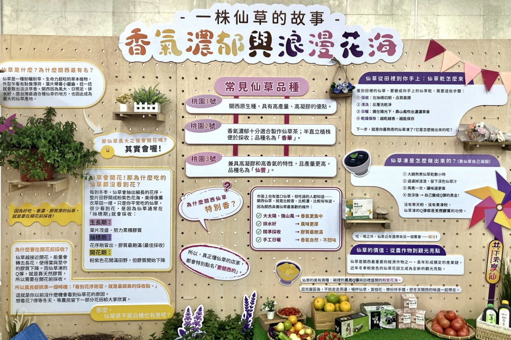 DEB45B3D-42DA-4DE5-B886-8B502A7A6728_Fotor - 報新聞 Mega News