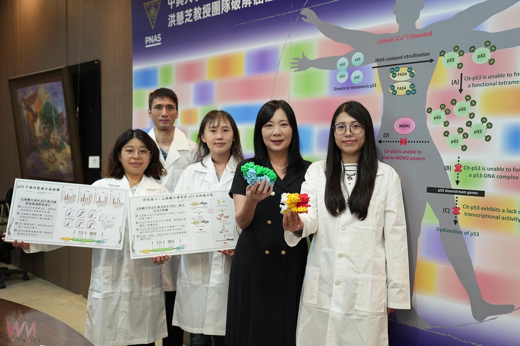 興大洪慧芝教授登上《PNAS》破解癌症抑制蛋白 p53 被「關機」的祕密 - https://www.watchmedia01.com