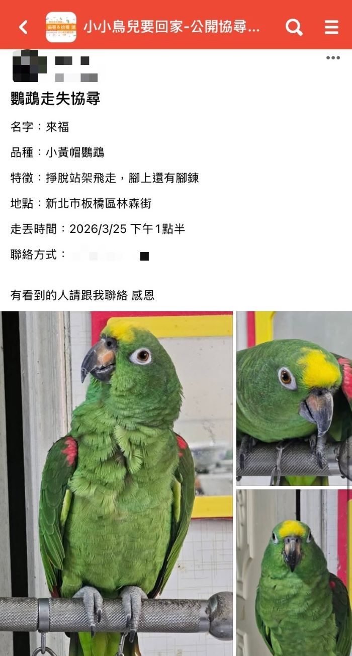 《圖說》海山警透過尋鳥貼文透過網路社群比對資訊,於短短半小時內聯繫上飼主,讓原本心急如焚的主人得以放下心中大石。〈海山分局提供〉