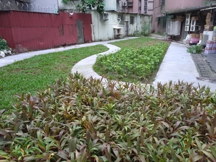 《圖說》中和區南華路68號旁空地綠家園基地綠美化成果--社區口袋型。〈城鄉局提供〉